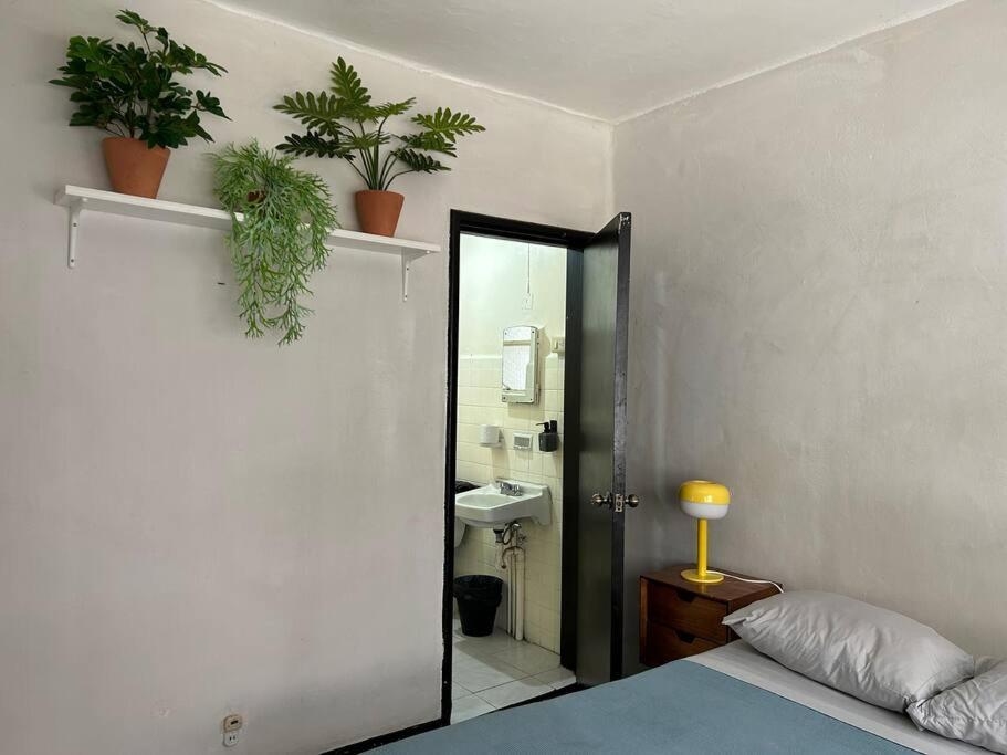 Cozy Roma Apt Heart Of The City Apartment Kota Meksiko Bagian luar foto